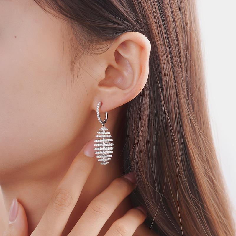 Layered Belief Radiance