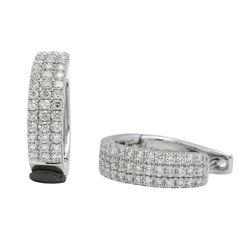 18KW earring EE1556